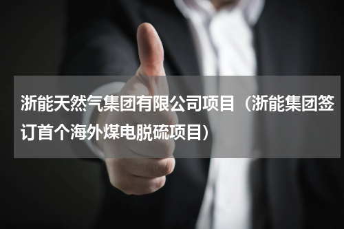 浙能天然气集团有限公司项目（浙能集团签订首个海外煤电脱硫项目）