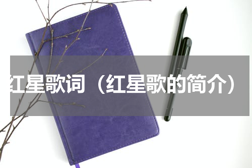 红星歌词（红星歌的简介）
