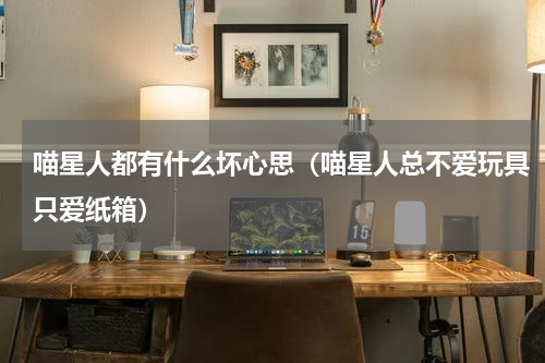 喵星人都有什么坏心思（喵星人总不爱玩具只爱纸箱）