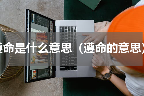 遵命是什么意思（遵命的意思）