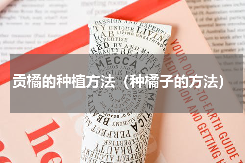 贡橘的种植方法（种橘子的方法）