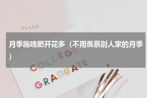 月季施啥肥开花多（不用羡慕别人家的月季）