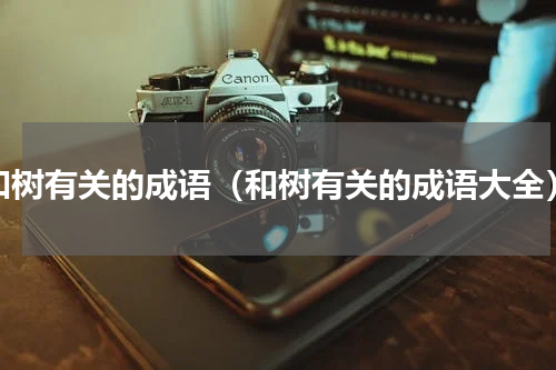 和树有关的成语（和树有关的成语大全）