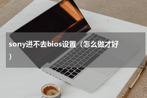 sony进不去bios设置（怎么做才好）