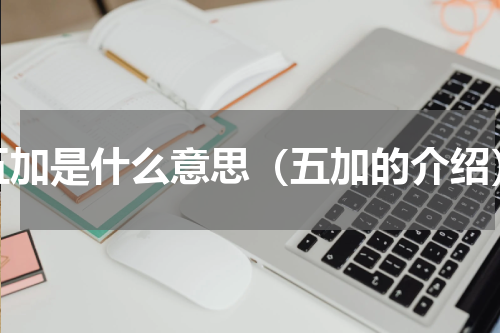 五加是什么意思（五加的介绍）