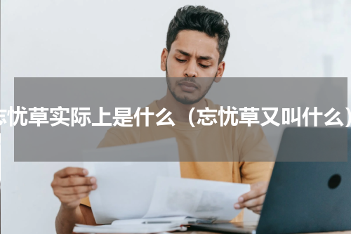 忘忧草实际上是什么（忘忧草又叫什么）
