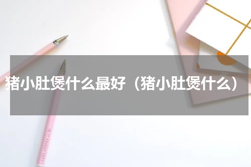 猪小肚煲什么最好（猪小肚煲什么）