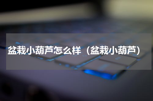 盆栽小葫芦怎么样（盆栽小葫芦）
