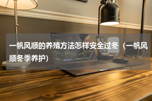 一帆风顺的养殖方法怎样安全过冬（一帆风顺冬季养护）