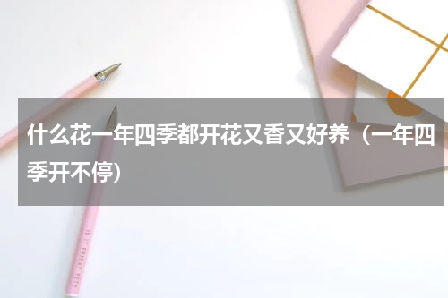 什么花一年四季都开花又香又好养（一年四季开不停）