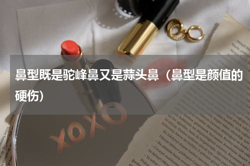 鼻型既是驼峰鼻又是蒜头鼻（鼻型是颜值的硬伤）