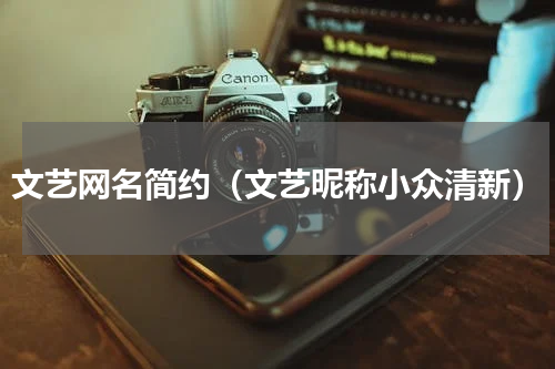 文艺网名简约（文艺昵称小众清新）
