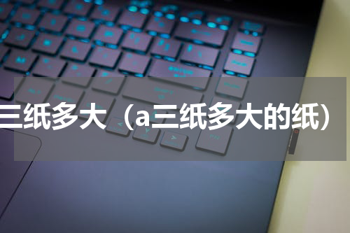a三纸多大（a三纸多大的纸）