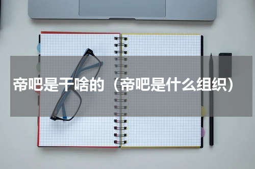 帝吧是干啥的（帝吧是什么组织）