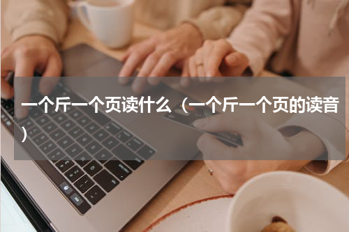 一个斤一个页读什么（一个斤一个页的读音）