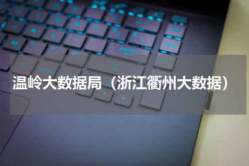 温岭大数据局（浙江衢州大数据）