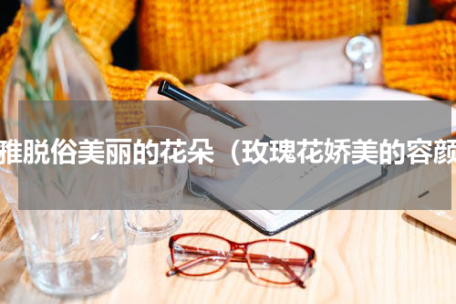 清雅脱俗美丽的花朵（玫瑰花娇美的容颜）