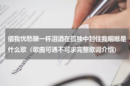 借我忧愁酿一杯泪酒在孤独中封住我咽喉是什么歌（歌曲可遇不可求完整歌词介绍）