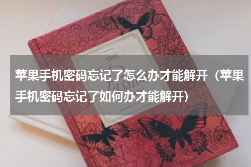苹果手机密码忘记了怎么办才能解开（苹果手机密码忘记了如何办才能解开）
