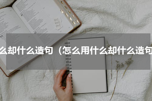 什么却什么造句（怎么用什么却什么造句）