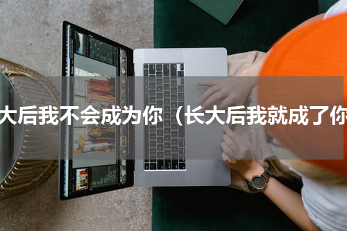 长大后我不会成为你（长大后我就成了你）