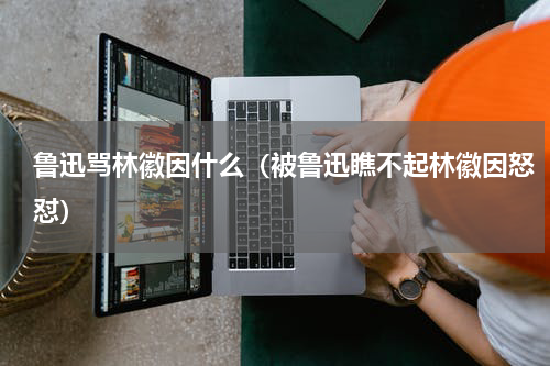 鲁迅骂林徽因什么（被鲁迅瞧不起林徽因怒怼）