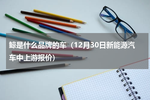 鲸是什么品牌的车（12月30日新能源汽车中上游报价）