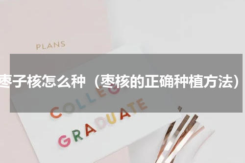 枣子核怎么种（枣核的正确种植方法）