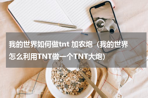 我的世界如何做tnt 加农炮（我的世界怎么利用TNT做一个TNT大炮）