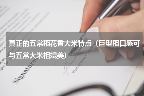 真正的五常稻花香大米特点（巨型稻口感可与五常大米相媲美）