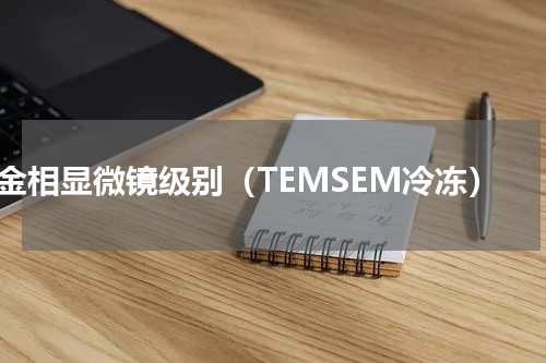 金相显微镜级别（TEMSEM冷冻）