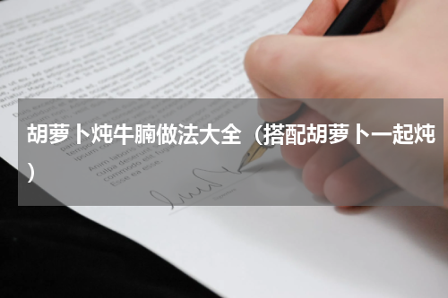 胡萝卜炖牛腩做法大全（搭配胡萝卜一起炖）