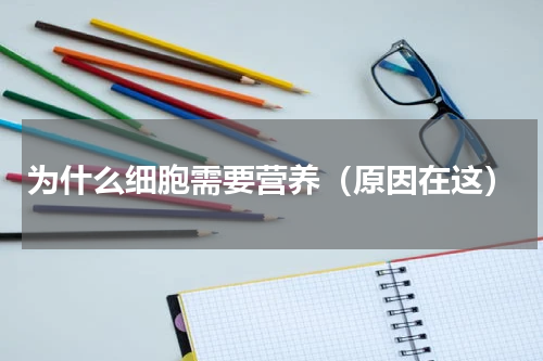 为什么细胞需要营养（原因在这）