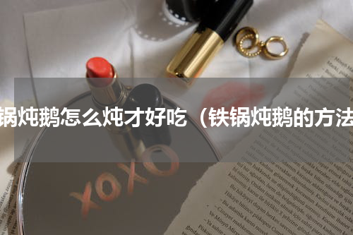 铁锅炖鹅怎么炖才好吃（铁锅炖鹅的方法）