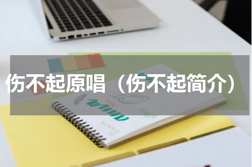 伤不起原唱（伤不起简介）