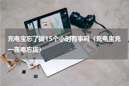 充电宝忘了拔15个小时有事吗（充电宝充一夜电忘拔）