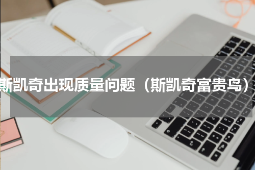 斯凯奇出现质量问题（斯凯奇富贵鸟）