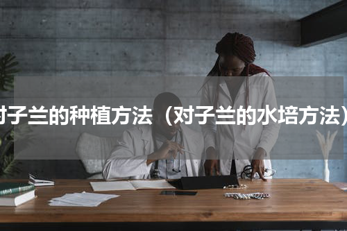 对子兰的种植方法（对子兰的水培方法）