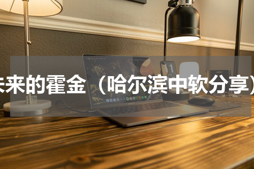 未来的霍金（哈尔滨中软分享）