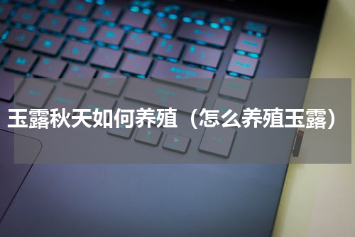 玉露秋天如何养殖（怎么养殖玉露）