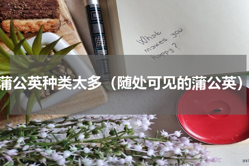 蒲公英种类太多（随处可见的蒲公英）