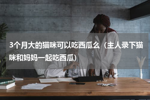 3个月大的猫咪可以吃西瓜么（主人录下猫咪和妈妈一起吃西瓜）