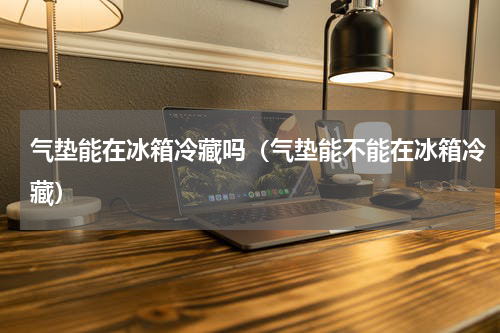 气垫能在冰箱冷藏吗（气垫能不能在冰箱冷藏）