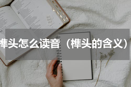 榫头怎么读音（榫头的含义）