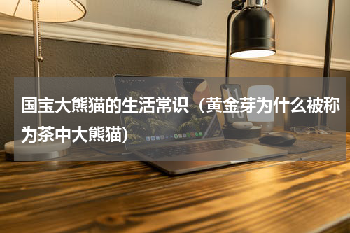 国宝大熊猫的生活常识（黄金芽为什么被称为茶中大熊猫）