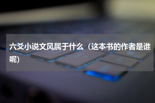 六爻小说文风属于什么（这本书的作者是谁呢）