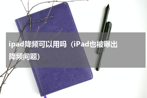 ipad降频可以用吗（iPad也被曝出降频问题）