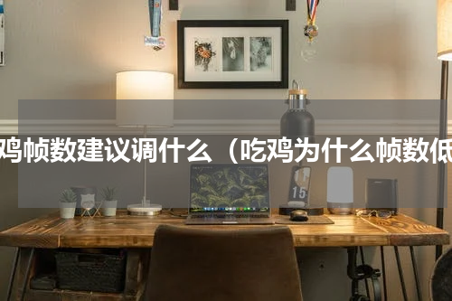 吃鸡帧数建议调什么（吃鸡为什么帧数低）