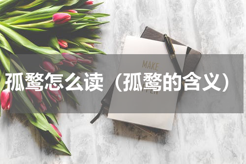 孤鹜怎么读（孤鹜的含义）