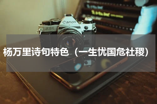 杨万里诗句特色（一生忧国危社稷）